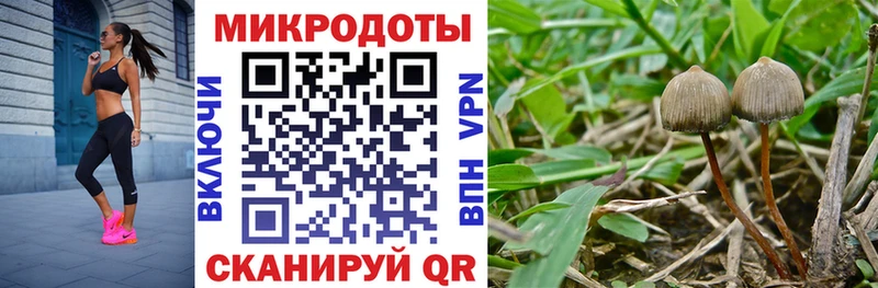 Псилоцибиновые грибы MAGIC MUSHROOMS  blacksprut ССЫЛКА  Жуковский 