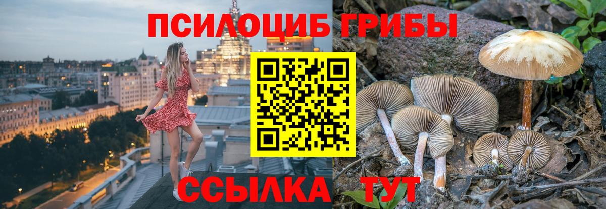 Галлюциногенные грибы мицелий  Вход с VPN  Жуковский  где можно купить   Псилоцибиновые грибы прущие грибы 
