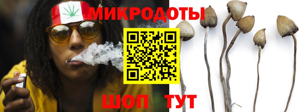 Галлюциногенные грибы мицелий Жуковский